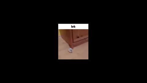 Gus online show from October 1, 6:45 am