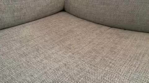 smithy784 online show from March 15, 11:46 am