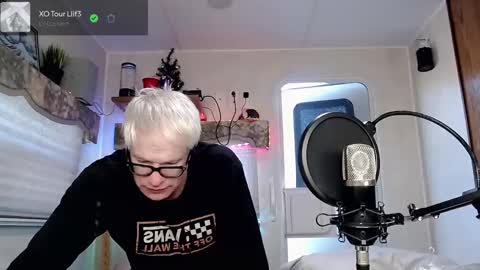 Viiscount  Snarfle Von Snarfenberg online show from February 28, 11:45 pm