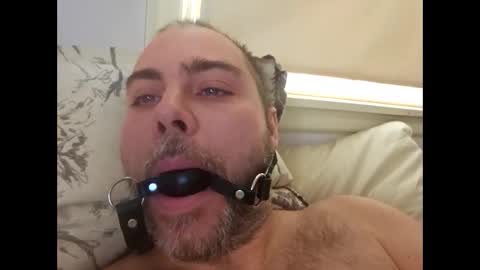 snarkymarks online show from December 17, 3:52 pm