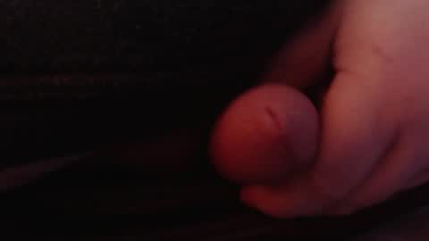 Tom online show from January 26, 1:47 pm