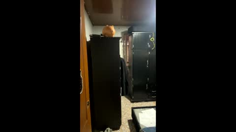 sofiacruz16 online show from March 11, 10:35 pm