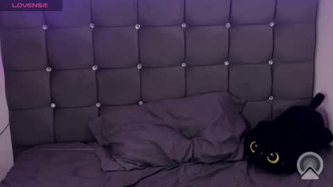 sofiakitty18 online show from April 18, 8:53 pm