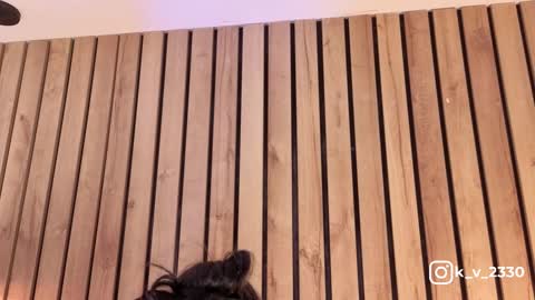 Sofie online show from March 10, 8:35 pm