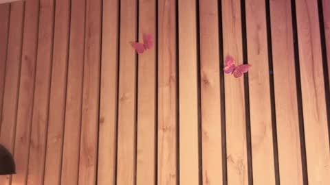 Sofie online show from October 28, 2:40 pm