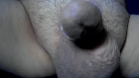 soft4you online show from May 29, 7:06 am