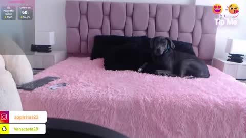 Sophia Carson online show from January 1, 5:11 pm