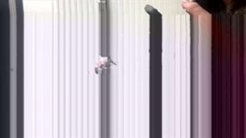 spankrider1 online show from February 15, 1:32 pm