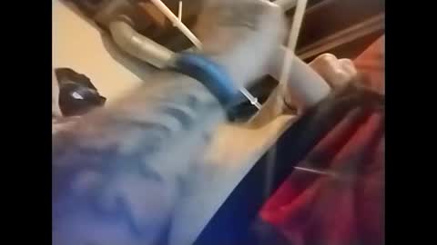 spundaddyandprincess online show from December 6, 1:16 pm