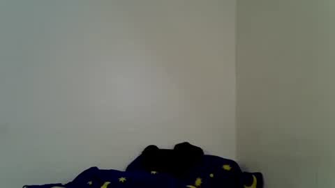 Tashy online show from November 2, 2:44 am