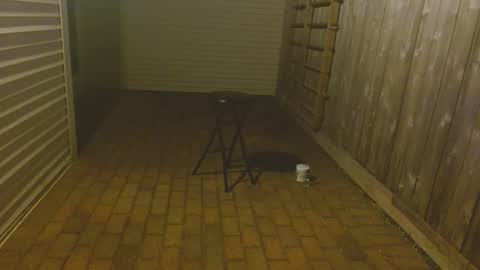 srtxshow online show from October 23, 11:55 am