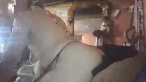 jayyyy online show from September 17, 6:28 am