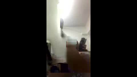 stellagaby243 online show from March 8, 7:23 am