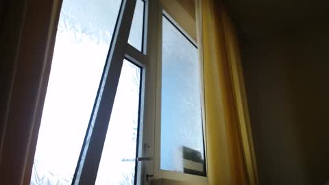 Steven online show from February 19, 1:39 pm