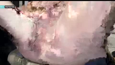 steve online show from January 15, 8:37 pm