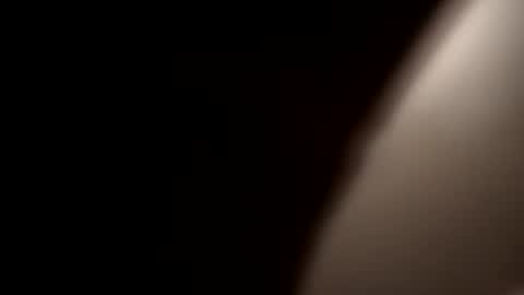 Snapshot of stokely571996 chatting on December 21, 8:18 am Oval2022 online show from December 21, 8:18 am