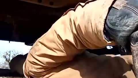 Snapshot of stokely571996 chatting on January 1, 6:16 pm Oval2022 online show from January 1, 6:16 pm