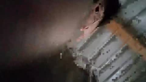 Oval2022 online show from December 19, 9:32 pm