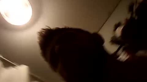 Snapshot of stokely571996 chatting on December 8, 12:02 am Oval2022 online show from December 8, 12:02 am