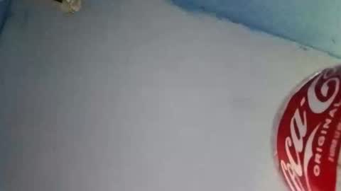 stonerllamas online show from November 9, 9:17 pm