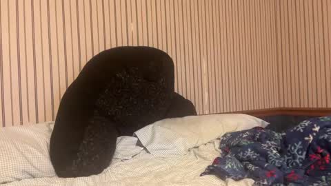 stratman301 online show from December 2, 8:50 pm