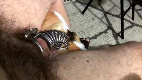 submasochsteve online show from October 12, 1:42 am