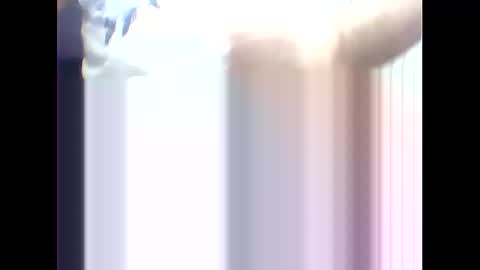 suleyman38 online show from February 17, 12:16 pm