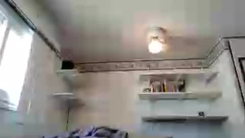 sundryparrot123 online show from June 13, 10:42 pm