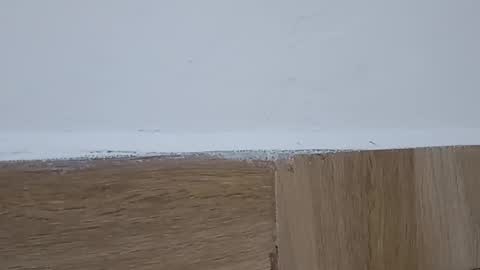 Annie online show from October 6, 5:31 pm