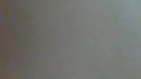 Annie online show from February 1, 11:10 am