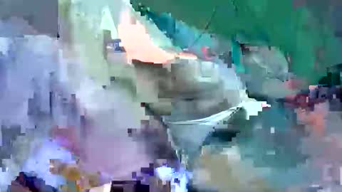 Bellah online show from September 17, 9:13 am