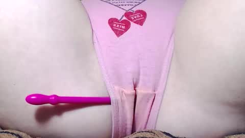 Kitten online show from November 21, 8:12 am