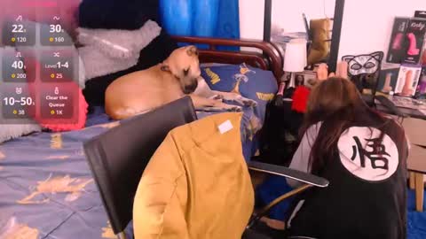 Dani   online show from September 16, 5:16 pm