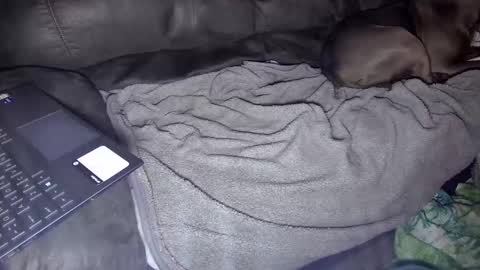 sweetgesus online show from January 5, 3:53 am