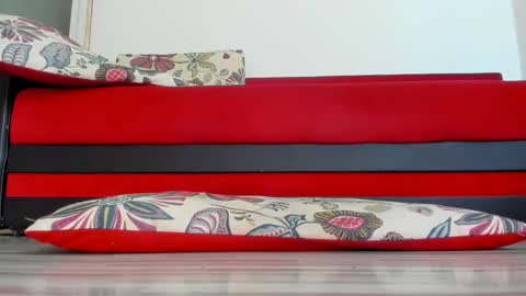 Christine online show from December 1, 4:43 pm