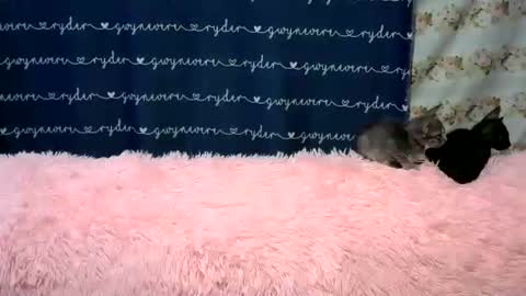 sweetnipples1987 online show from June 6, 9:53 pm