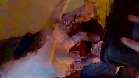 swissfucker40 online show from October 4, 2:48 pm