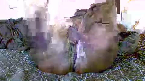 swt_lov online show from November 8, 8:12 pm