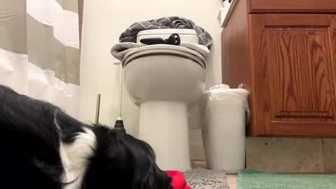 tRex online show from November 22, 4:11 am