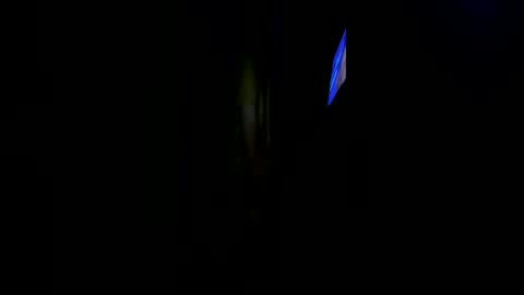 tactifish_556 online show from June 30, 5:29 am