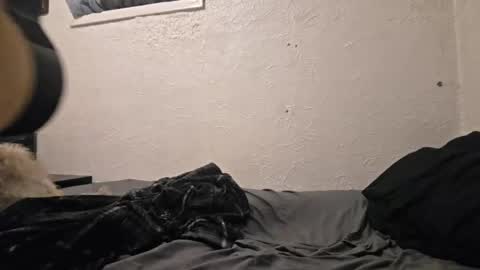 Talen James online show from April 18, 9:48 pm