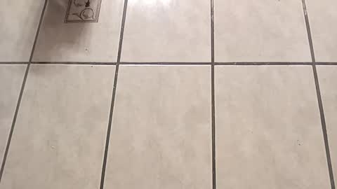 tall6feet7inch online show from October 1, 9:08 am