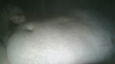 tallicas2000 online show from May 30, 1:15 am