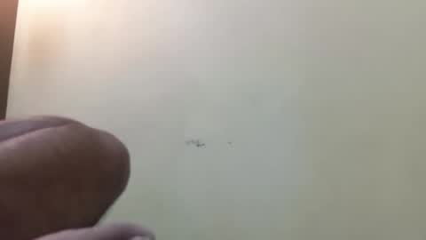 tamil30 online show from October 7, 7:59 am