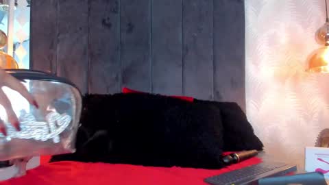 Tatto Fox online show from January 13, 12:46 pm