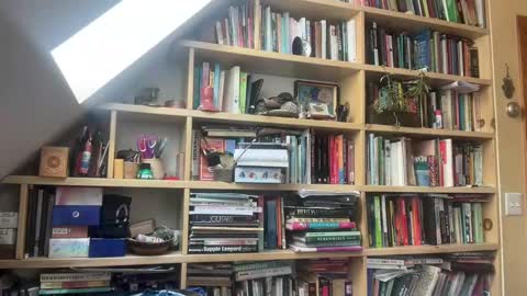 Snapshot of terraworship chatting on March 3, 6:03 pm Terra Worship Findomme online show from March 3, 6:03 pm