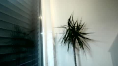 tger2024 online show from December 1, 3:10 pm