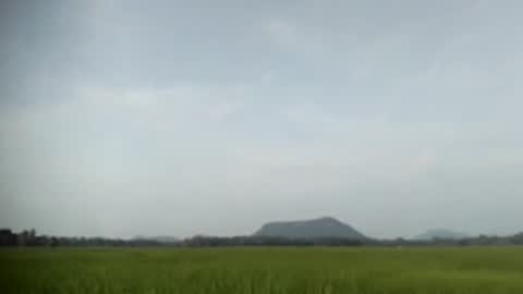 tghjiujmjkuytgh online show from February 9, 11:25 am