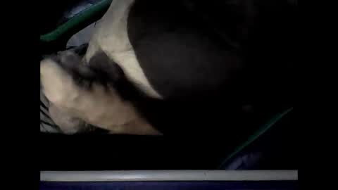 thataco online show from October 12, 2:48 am