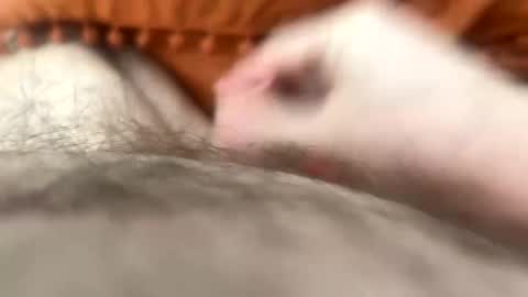 the_mattimus online show from April 25, 9:22 am